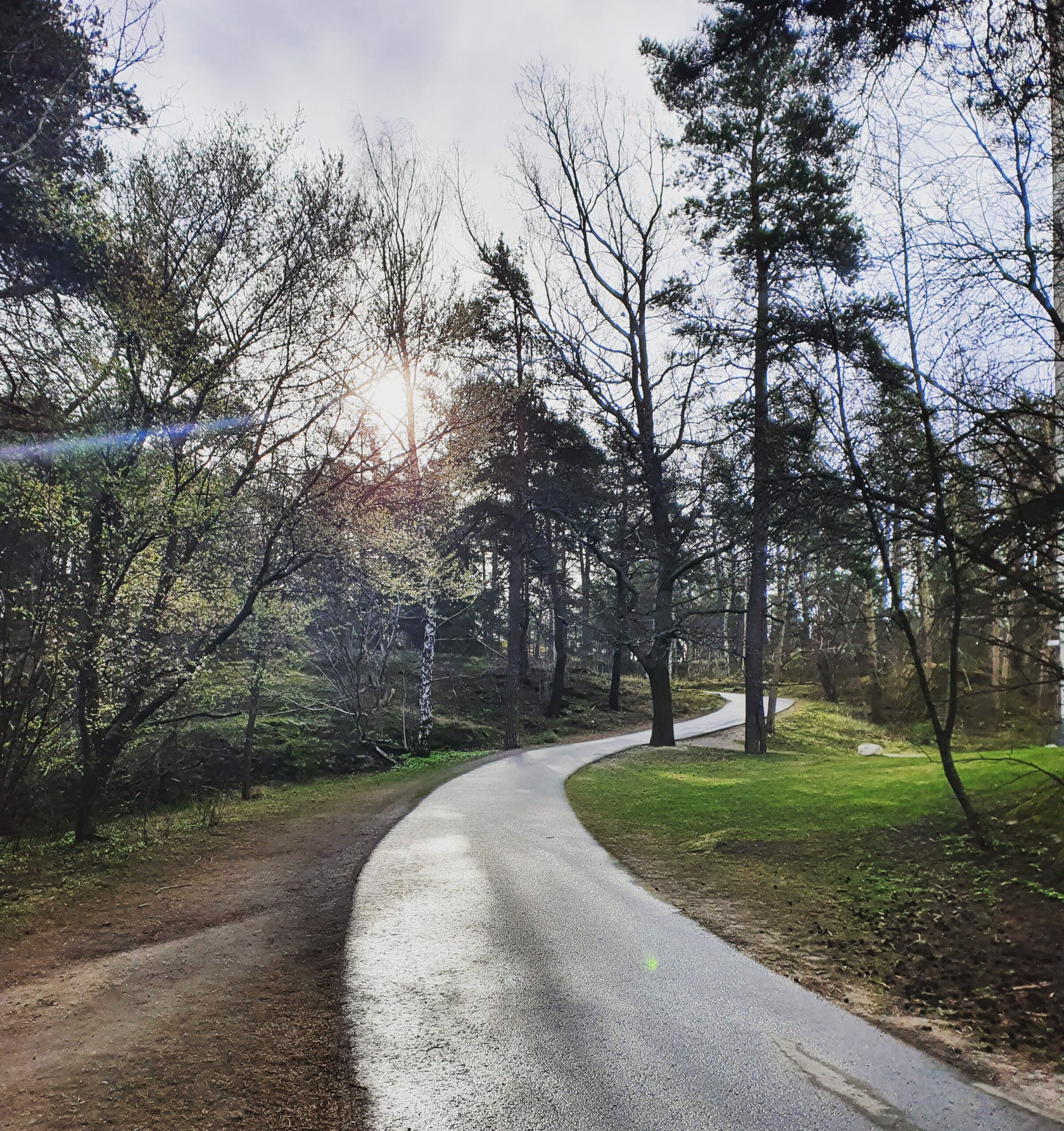 Reviderte retningslinjer fra GINA – 2026